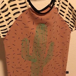 Rags To Raches Cactus